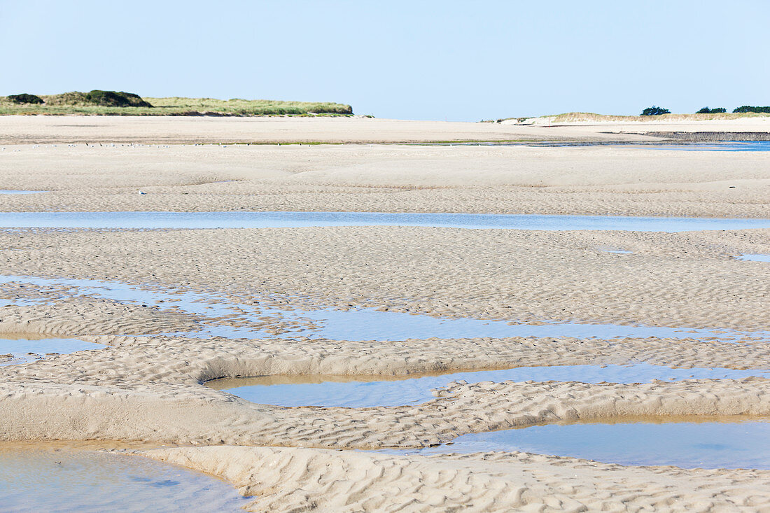 Der Strand bei Ebbe vor Portbail, Cotentin Halbinsel, Normandie, Frankreich