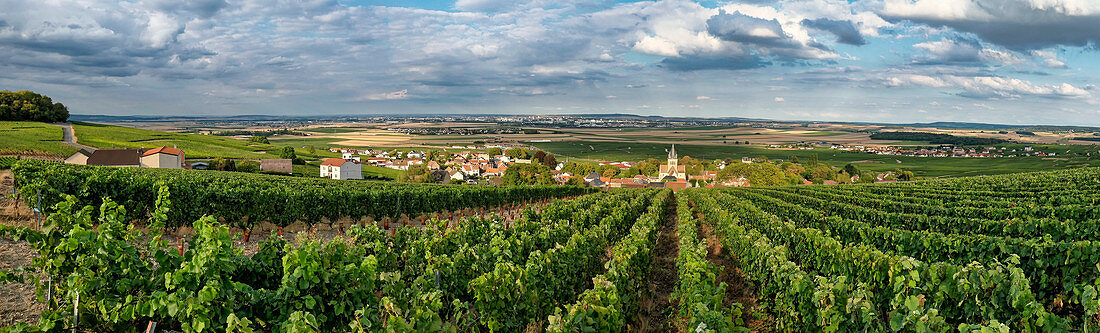 Wine growing in Champagne, Montagne de Reims, Ville-Dommange, panorama, village church, France