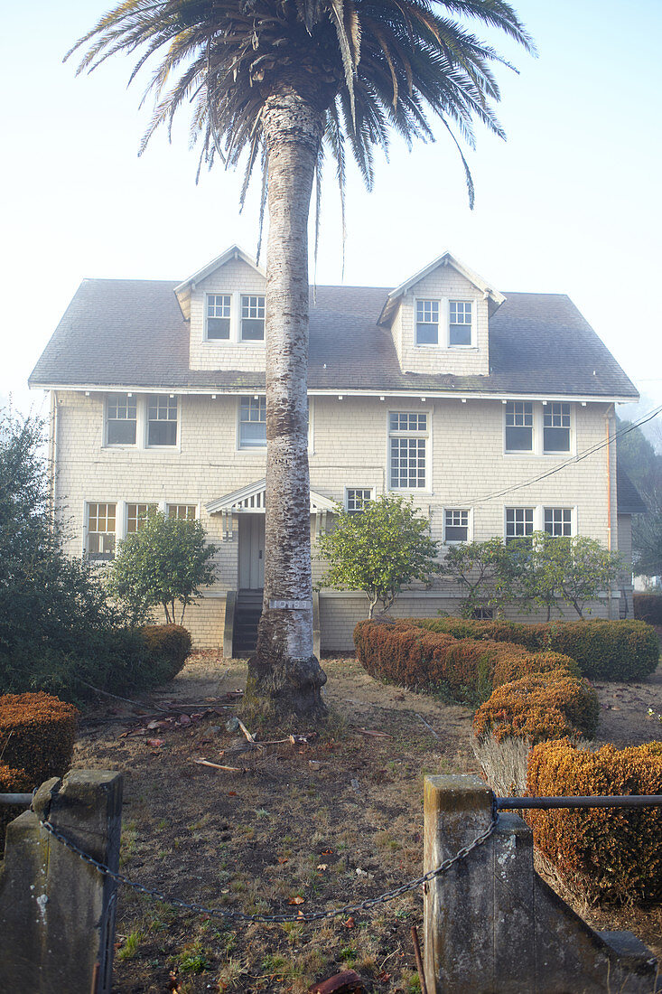 Abandoned house with palm tree in morning mist at Point Reyes, California, USA.