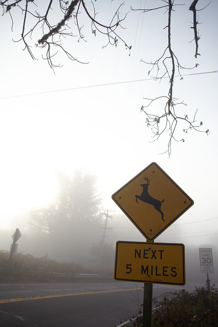 Warning sign for deer crossing in the morning mist at Point Reyes, California, USA.