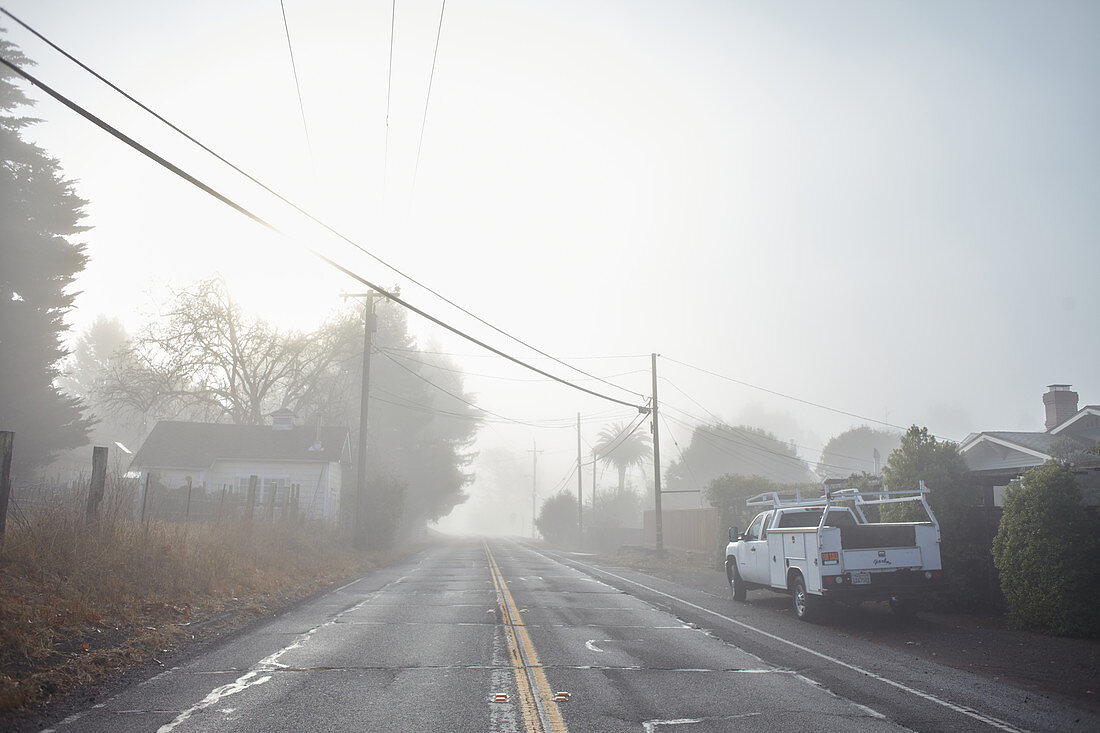 Street in the morning mist at Point Reyes, California, USA.