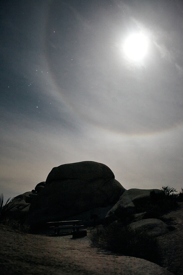 Piknickplatz bei Mondschein im Joshua Tree Park, Kalifornien, USA