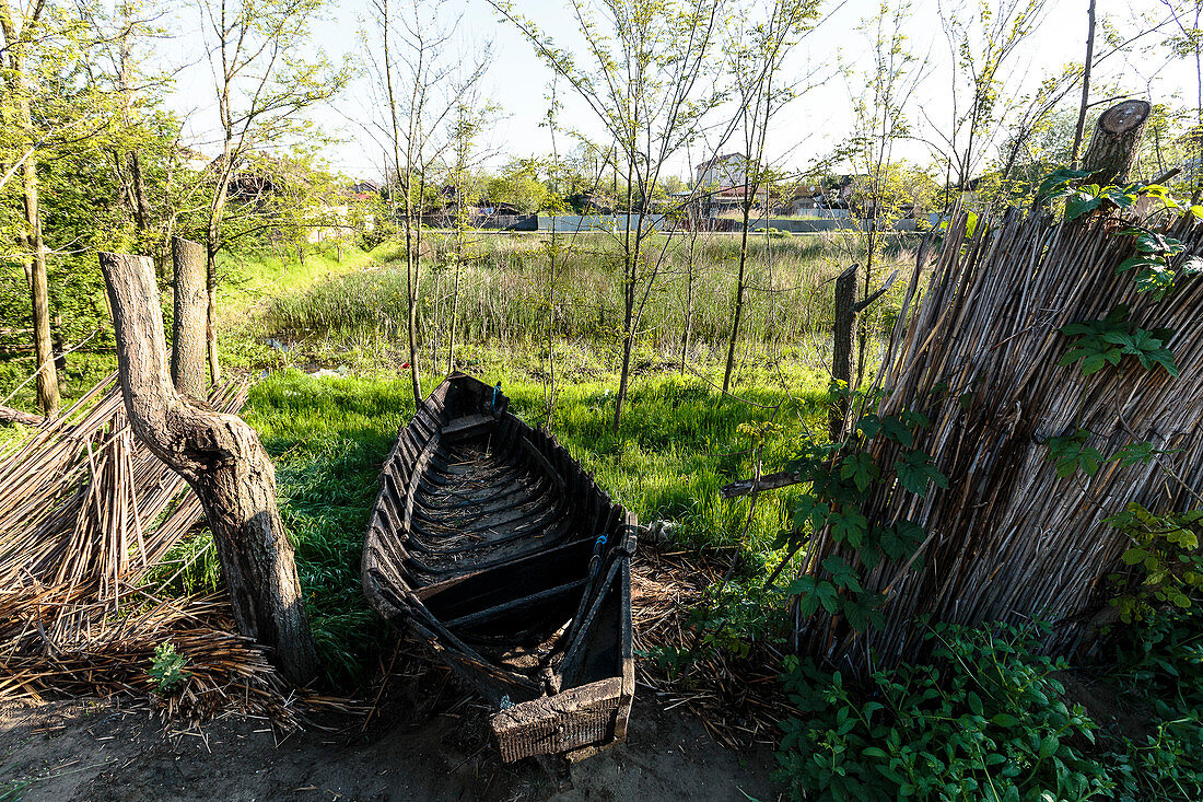 A derelict fishing boat lies in the garden next to the reed fence in the Danube Delta in April, Mila 23, Tulcea, Romania.