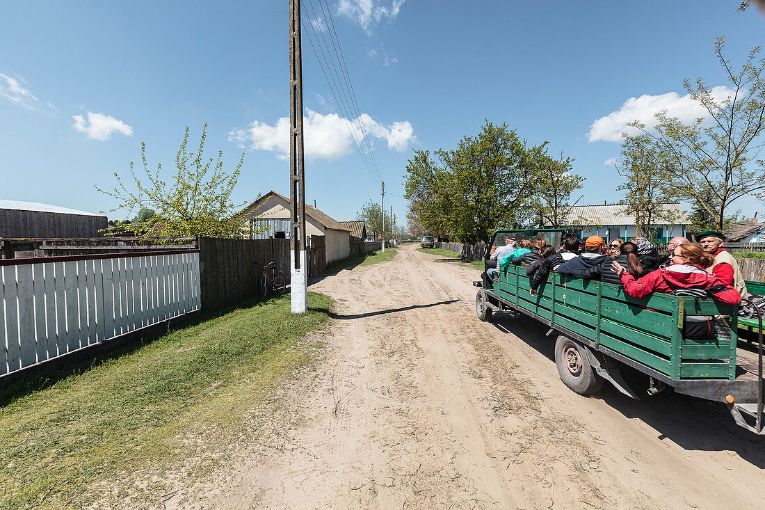 Danube Delta in April, group of tourists drives through the streets of Letea, Tulcea, Romania.