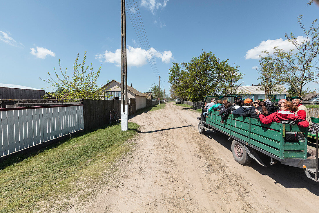 Donaudelta im April, Touristengruppe fährt durch die Straßen von Letea, Tulcea, Rumänien.