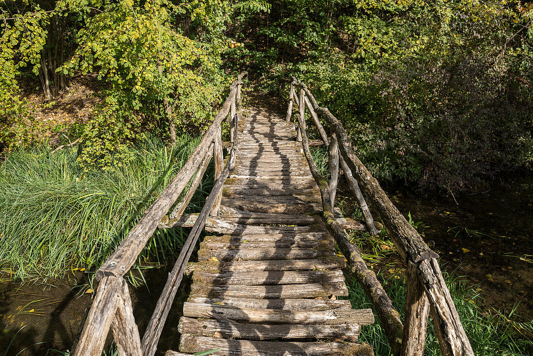 Wooden bridge on the Old Rhine, near Jechtingen, Sasbach, Kaiserstuhl, Baden-Württemberg, Germany