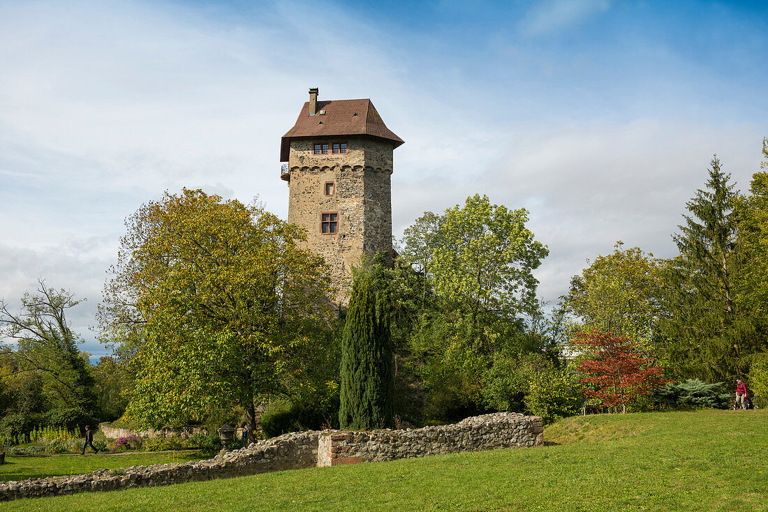 Burg Sponeck, Jechtingen, Sasbach, Kaiserstuhl, Baden-Württemberg, Deutschland