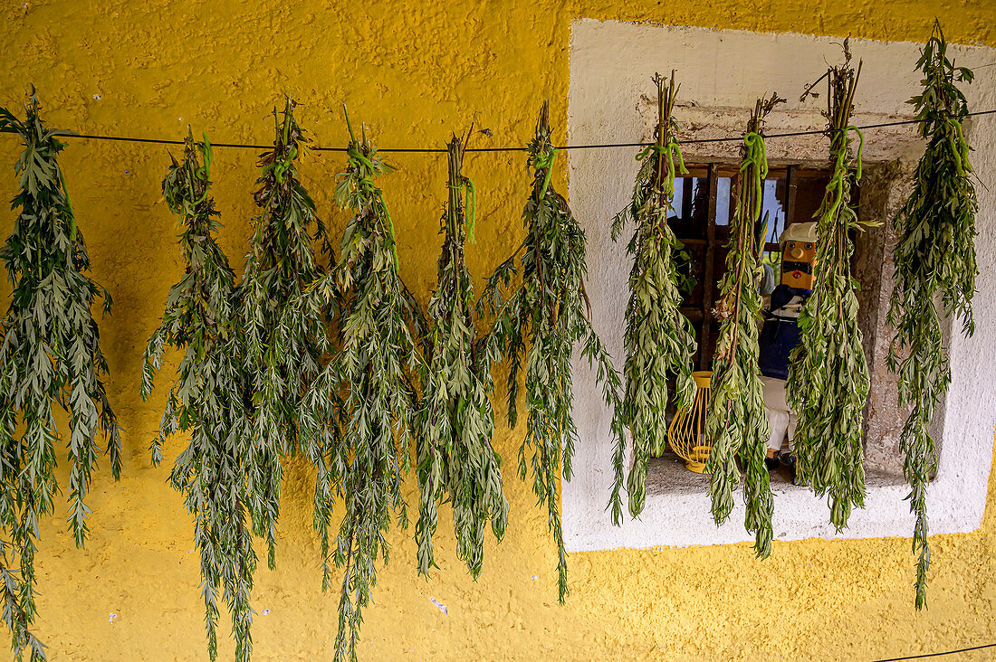 Herbs on a line while drying, homemade with herbs from the own garden