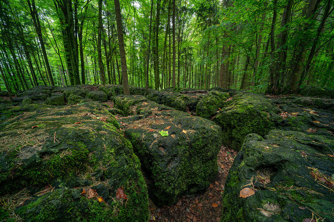 Boulders in the druid's grove, forest in the franconian Switzerland, Bavaria, Germany, Europe