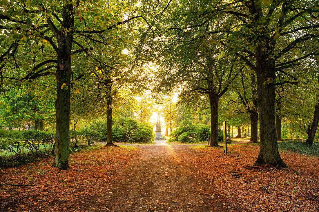 Der Schloßgarten am Schwanberg im herbstlichen Kleid, Rödelsee, Kitzingen, Unterfranken, Franken, Bayern, Deutschland, Europa