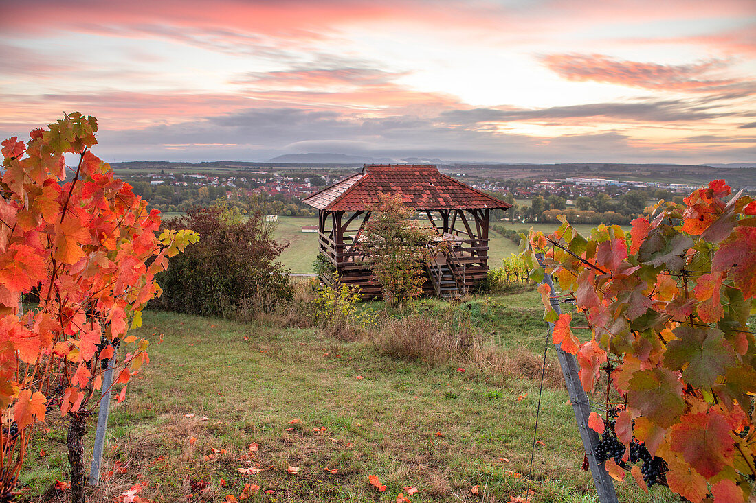 Die Weinhalla bei Sulzfeld im herbstlichen Kleid, Kitzingen, Unterfranken, Franken, Bayern, Deutschland, Europa