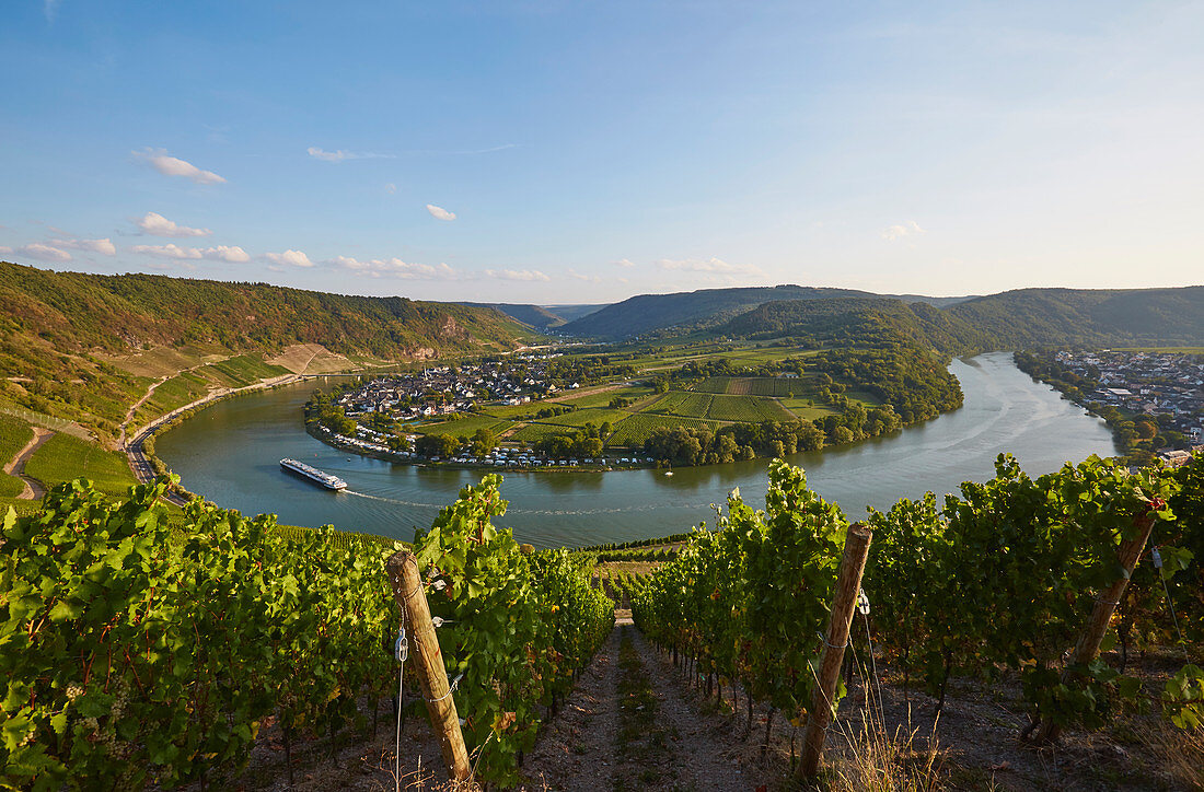 Blick aus der Weinlage Kröver Nacktarsch auf die Moselschleife von Kröv, Rheinland-Pfalz, Deutschland, Europa