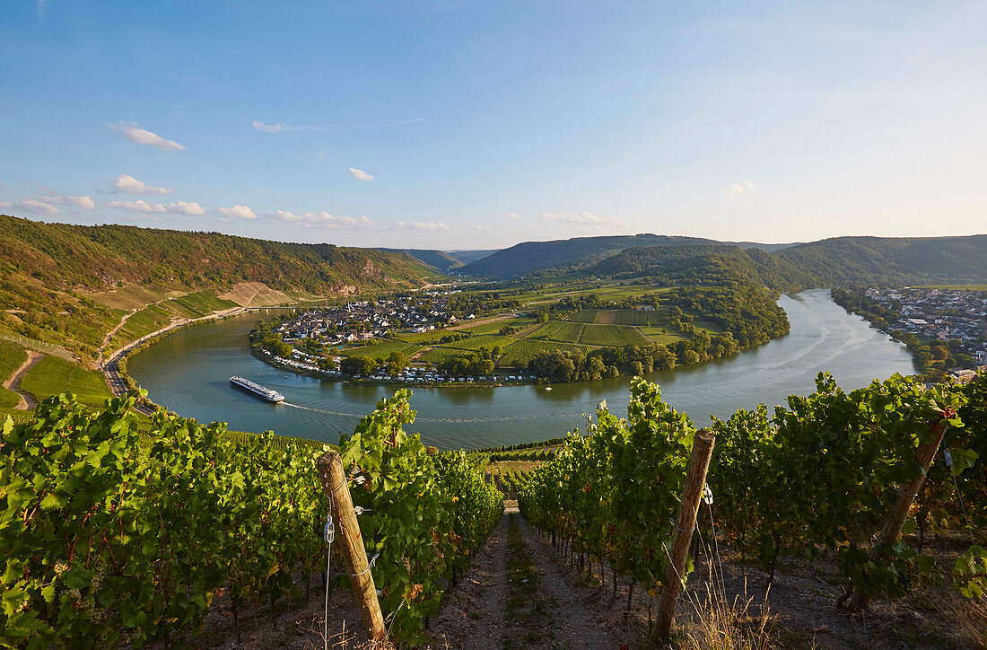 View from the Kröver Nacktarsch vineyard to the Moselle loop of Kröv, Rhineland-Palatinate, Germany, Europe