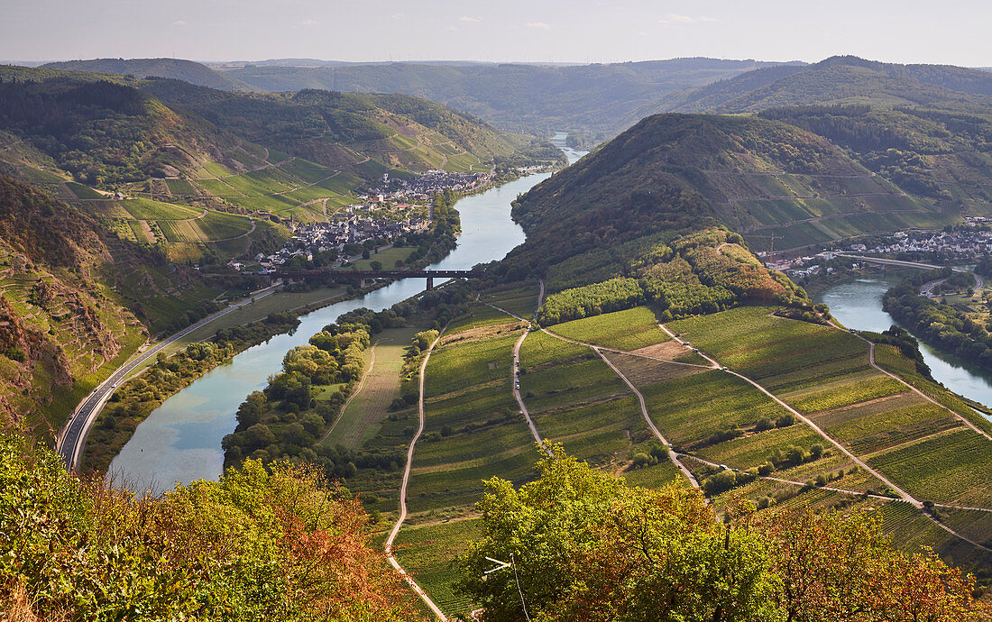 Blick vom Calmont auf die Moselschleife bei Bremm, Calmont, Rheinland-Pfalz, Deutschland, Europa
