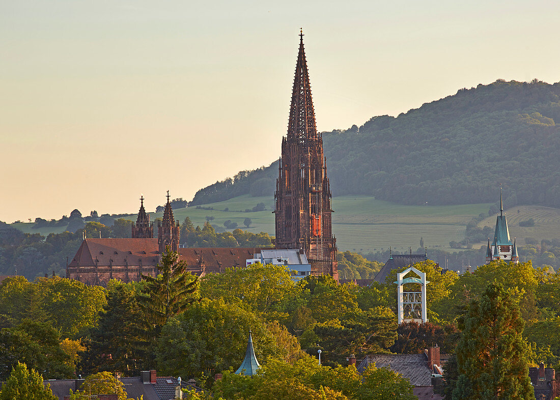 View from Sonnhalde to Freiburg with Freiburg Minster, sunset, Freiburg, Breisgau, Southern Black Forest, Baden-Wuerttemberg, Germany, Europe