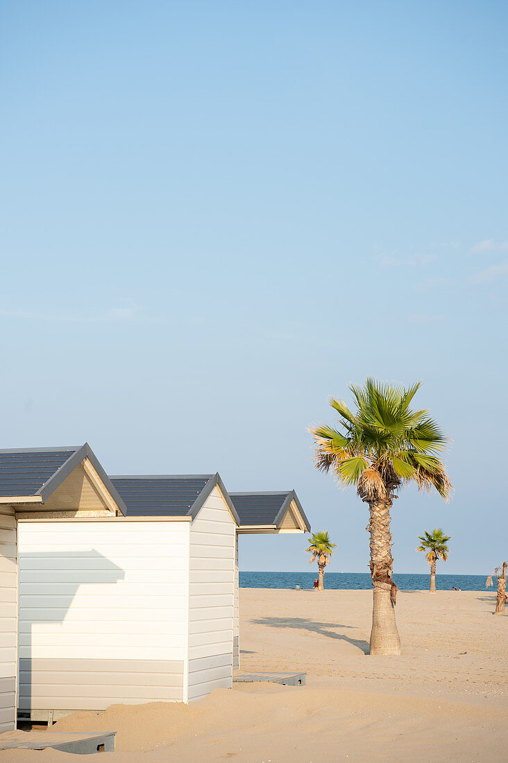 Palm trees on a lonely beach with white small wooden bathing huts, Forte dei Marmi, Tuscany, Italy