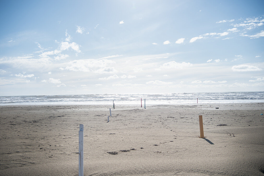 Wooden poles in the sand on a deserted beach in winter, Forte die Marmi, Tuscany, Italy