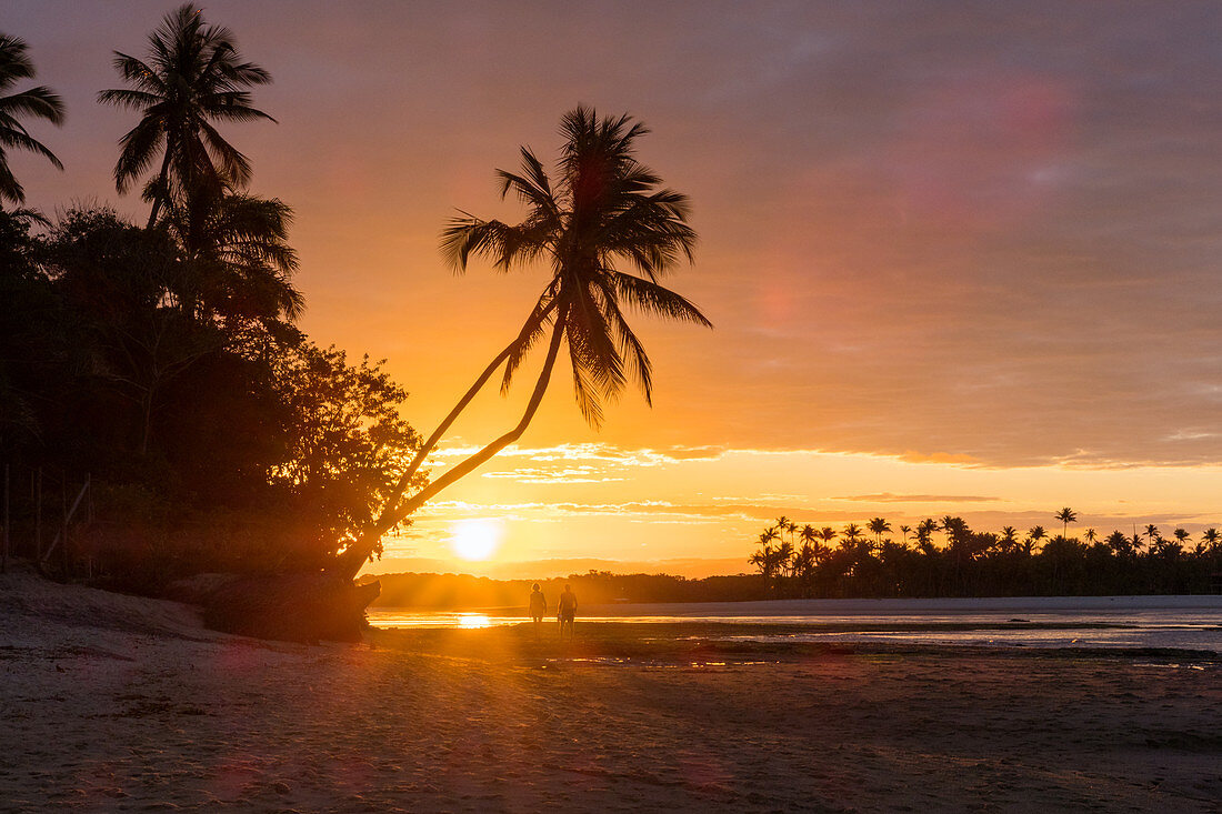 Sunset on the beach with palm trees, Boipeba Island, Bahia, Brazil, South America