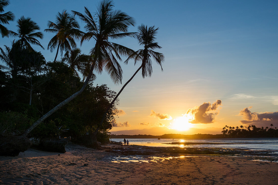 Sunset on the beach with palm trees, Boipeba Island, Bahia, Brazil, South America