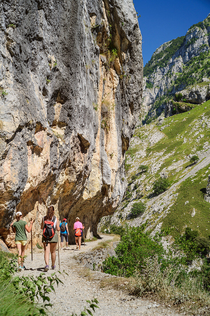 Mehrere Personen beim Wandern durch die Schlucht Ruta del Cares, Caresschlucht, Nationalpark Picos de Europa, Kantabrisches Gebirge, Asturien, Spanien