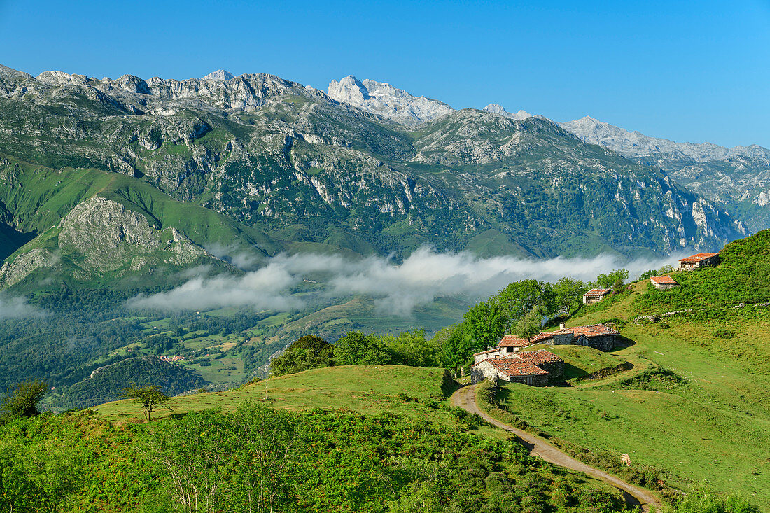 Blick auf Picos de Europa und Almsiedlung mit Nebelstimmung im Tal, vom Picu Tiedu, Nationalpark Picos de Europa, Kantabrisches Gebirge, Asturien, Spanien