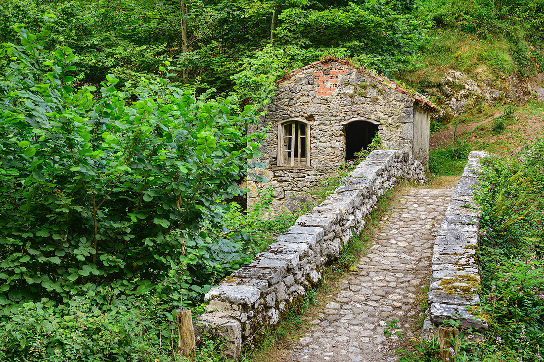 Steinbrücke führt auf Haus zu, Picos de Europa, Nationalpark Picos de Europa, Kantabrisches Gebirge, Asturien, Spanien