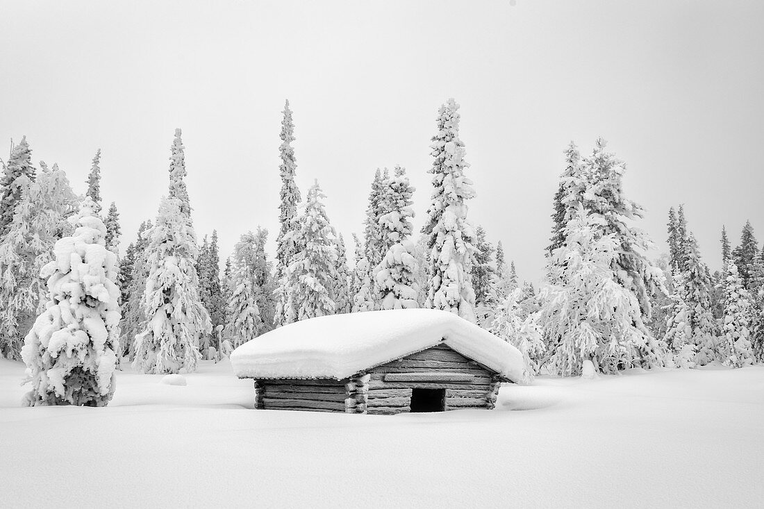Holzhütte bedeckt mit Schnee, Pallas-Yllastunturi-Nationalpark, Muonio, Lappland, Finnland