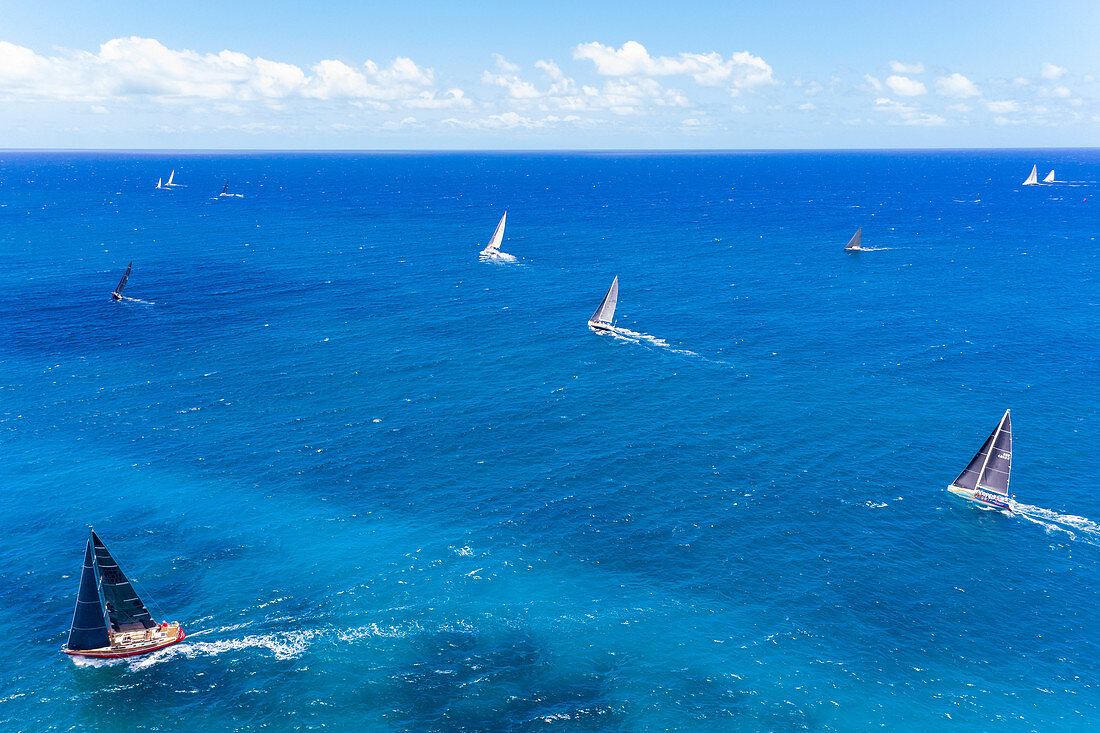 Antigua Lesser Antilles Islands in der Karibik Westindische Inseln - Hochseegachten, die an Rennen der Antigua Sailing Week teilnehmen