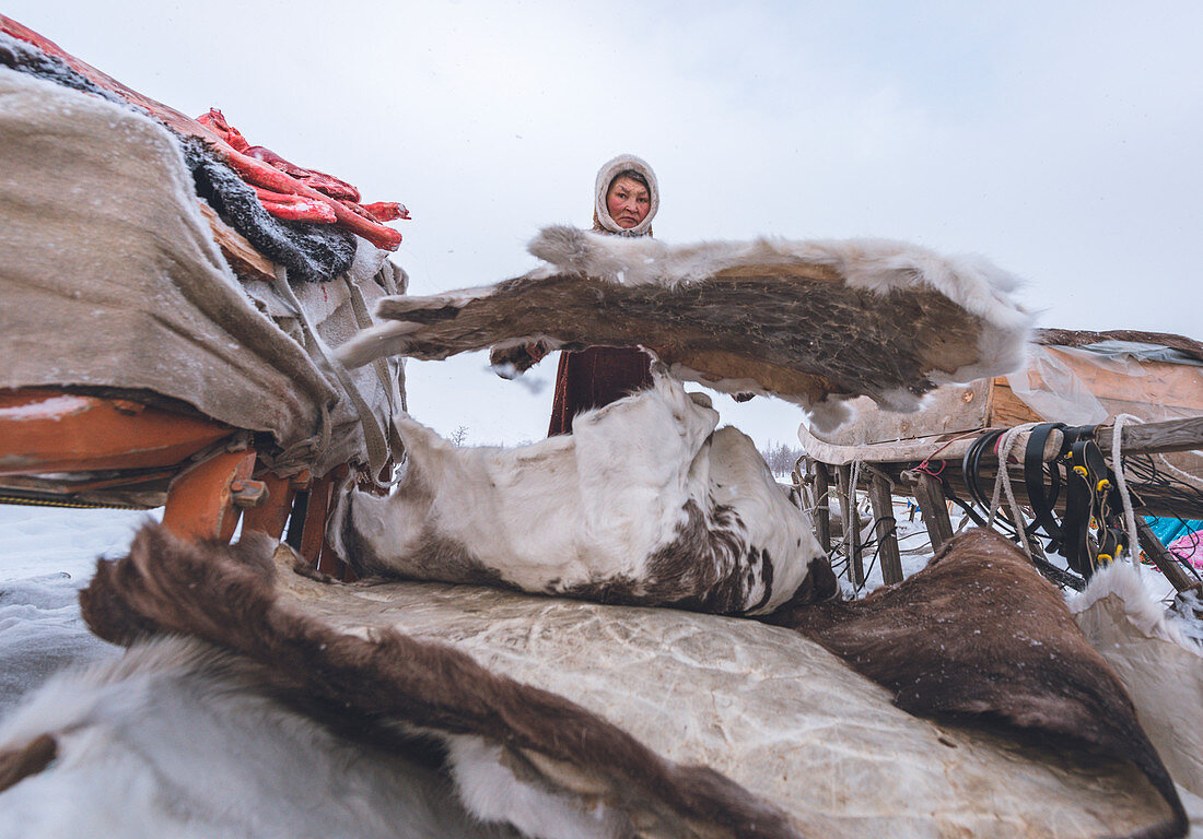 Die traditionelle Art des täglichen Lebens im nomadischen Rentierhirtenlager. Polar Ural, Yamalo-Nenets autonomer Okrug, Sibirien, Russland