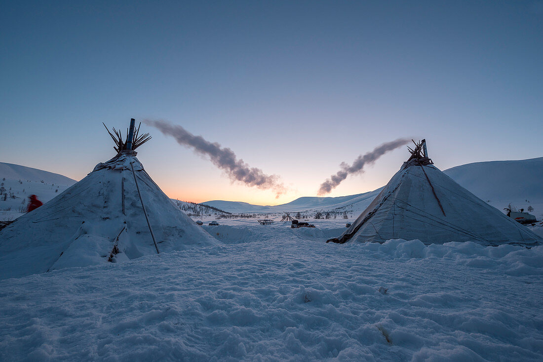Nomadic reindeer herders camp.  Polar Urals, Yamalo-Nenets autonomous okrug, Siberia, Russia