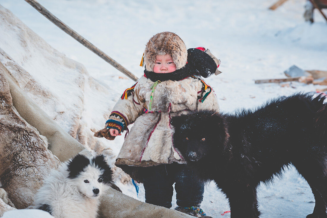 A small boy with dogs at the nomadic reindeer herders camp. Polar Urals, Yamalo-Nenets autonomous okrug, Siberia, Russia