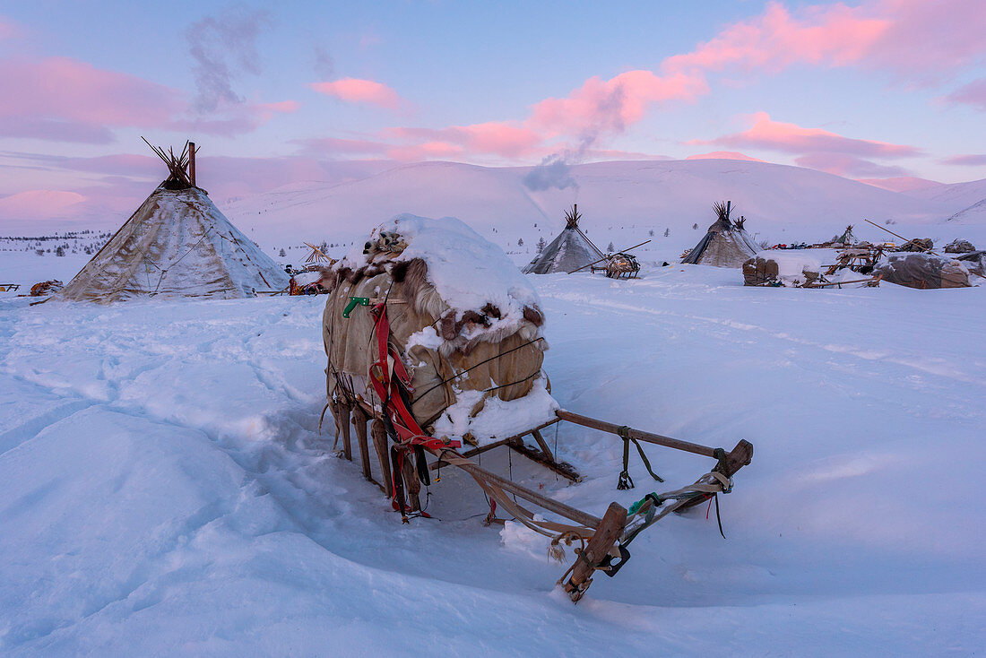 Nomadisches Rentierhirtenlager. Polar Ural, Yamalo-Nenets autonomer Okrug, Sibirien, Russland