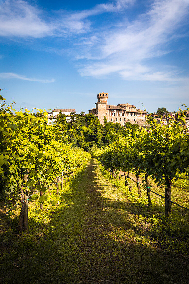 Levizzano Rangone, Modena district, Emilia Romagna, Italy