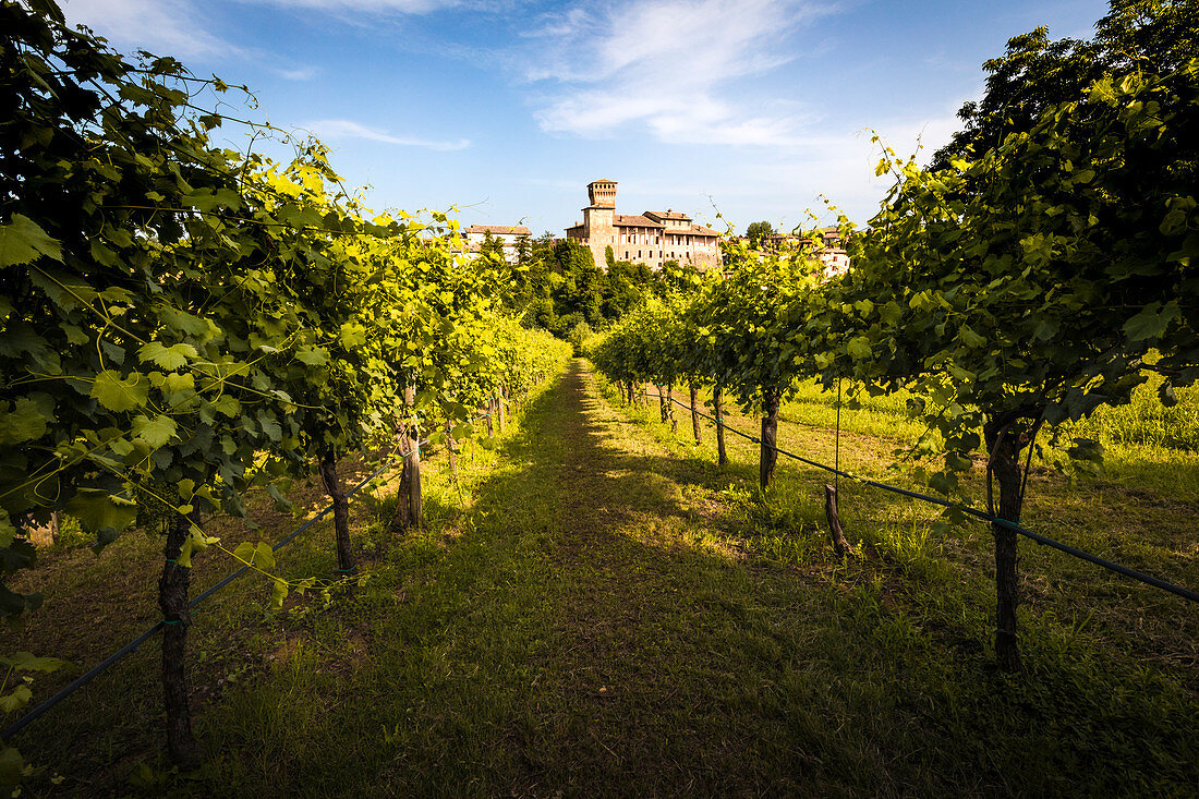 Levizzano Rangone, Bezirk Modena, Emilia Romagna, Italien