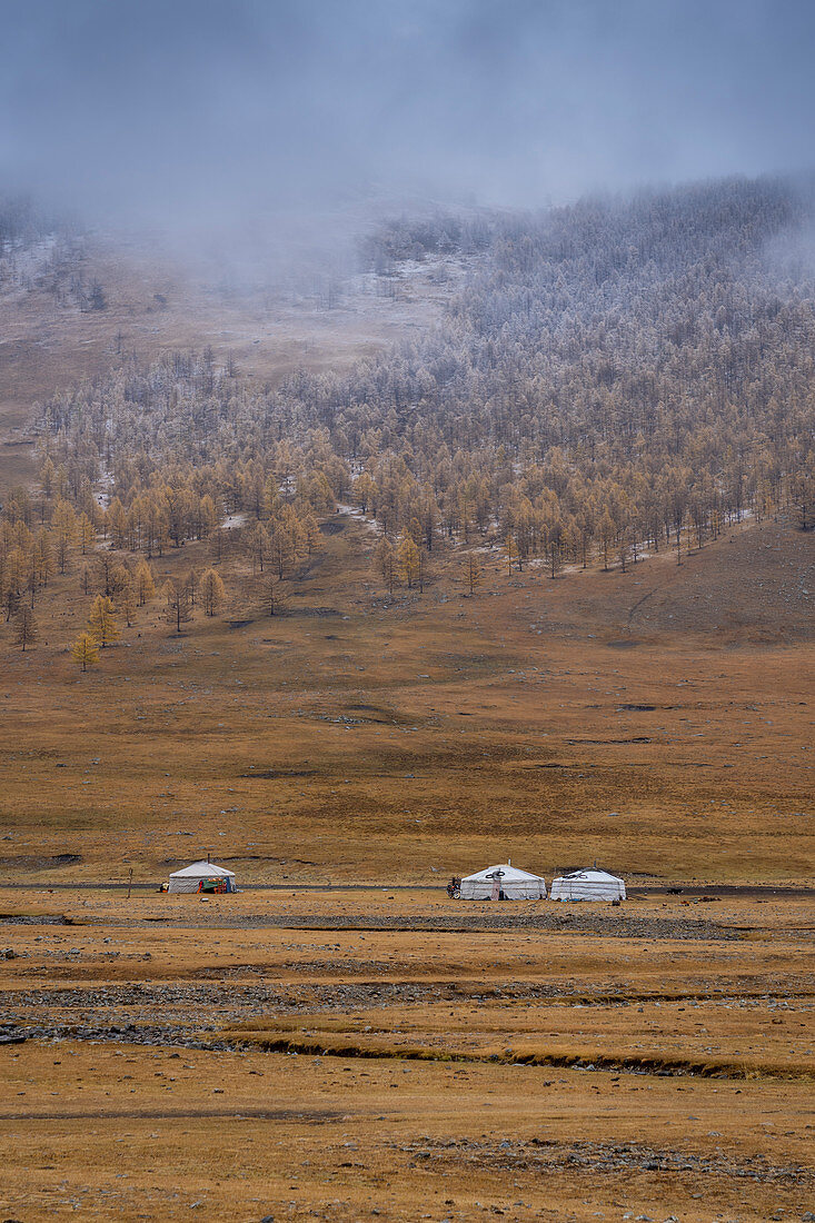 Typical mongol ger, Terkhiin Tsagaan Nuur National Park, Mongolia, Mongolian, Asia, Asian