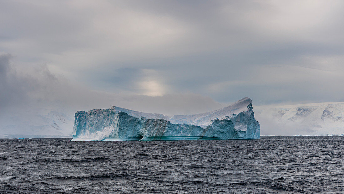 Neko Harbour, Antarctica.