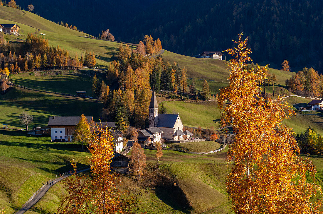 Italien, Trentino - Südtirol, Provinz Bozen, Dolomiten, Val di Funes, Santa Maddalena.