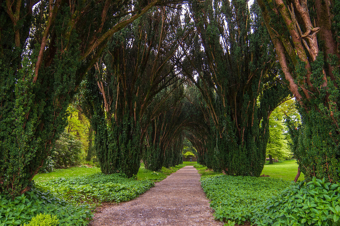 Woodstock Gardens und Arboretum, Inistioge, Grafschaft Kilkenny, Irland.