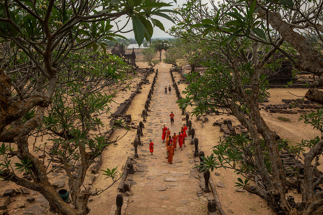 Mönche beim Vat Phou Tempel in Champasak, Laos, Asien