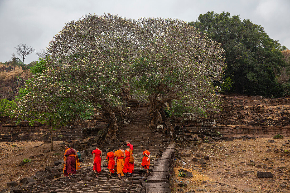 Mönche beim Vat Phou Tempel in Champasak, Laos, Asien