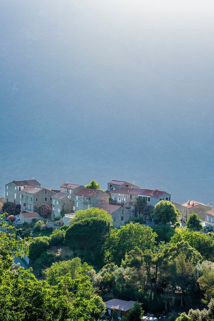 France, Corse-du Sud (2A), Alta Rocca region, Mare a Mare Sud hiking trail, Sainte-Lucie de Tallano, Poggio hamlet
