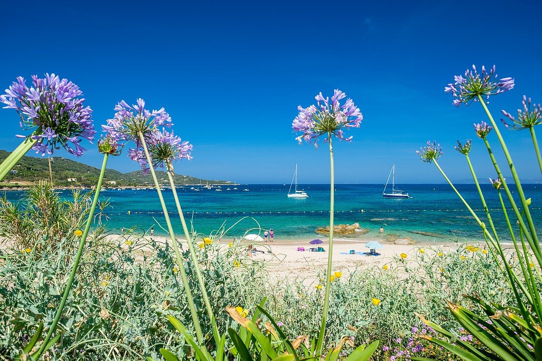 Frankreich, Corse-du Sud (2A), Golf von Ajaccio, Strand von Portigliolo