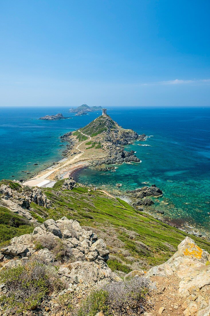 France, Corse-du Sud (2A), Gulf of Ajaccio, Parata Pointe and Sanguinaires islands