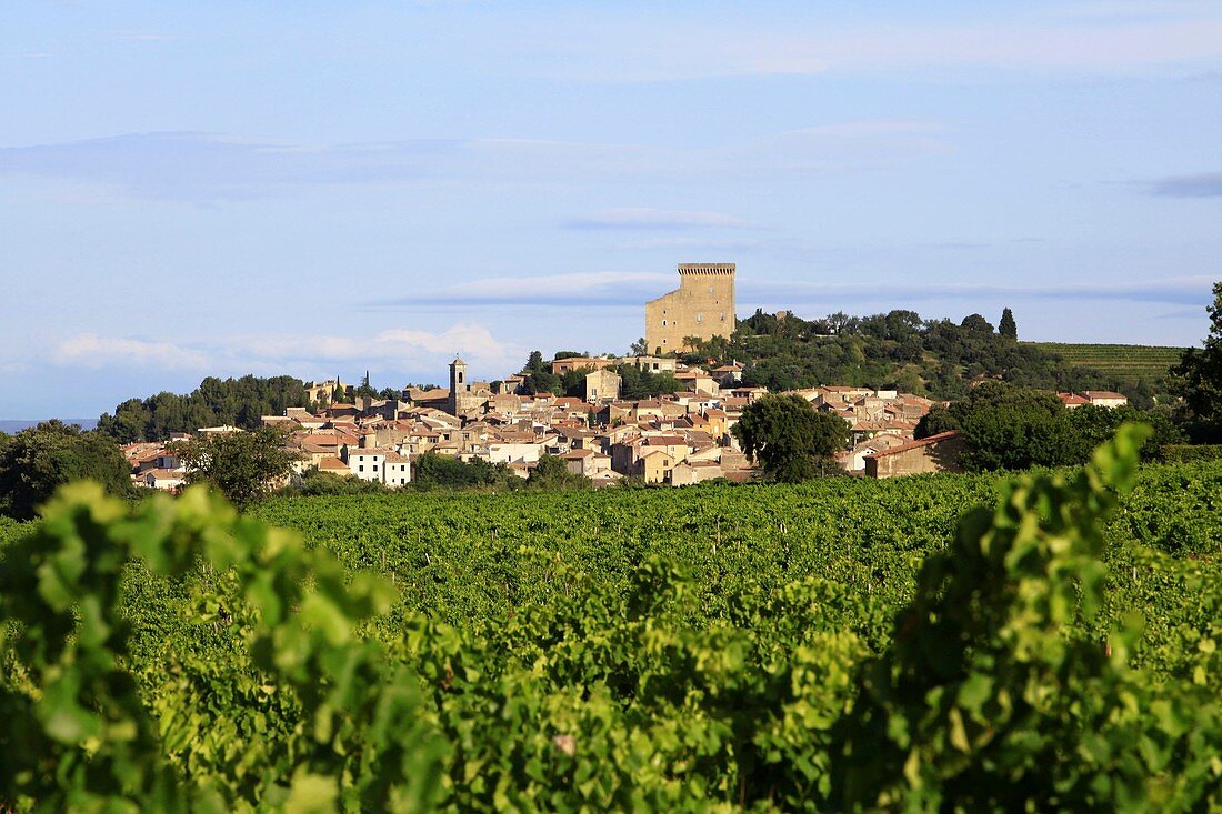 France, Vaucluse, Châteauneuf du Pape, Castle of Châteauneuf du Pape