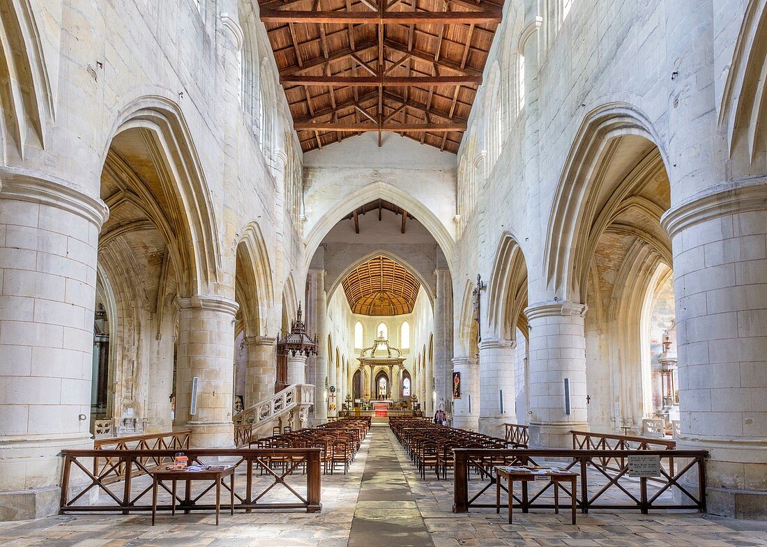 France, Charente Maritime, Saintes, cathedral Saint Pierre, nave, Saintonges