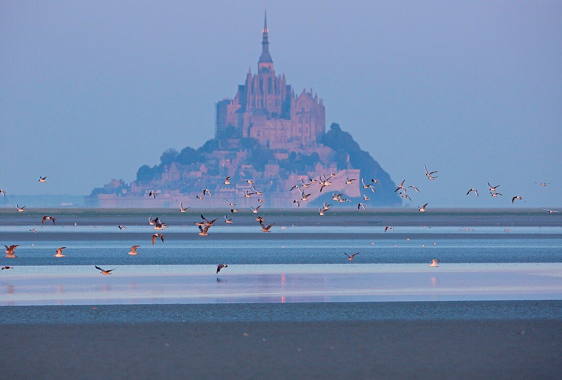 Frankreich, Manche, Bucht von Mont Saint Michel, von der UNESCO zum Weltkulturerbe erklärt