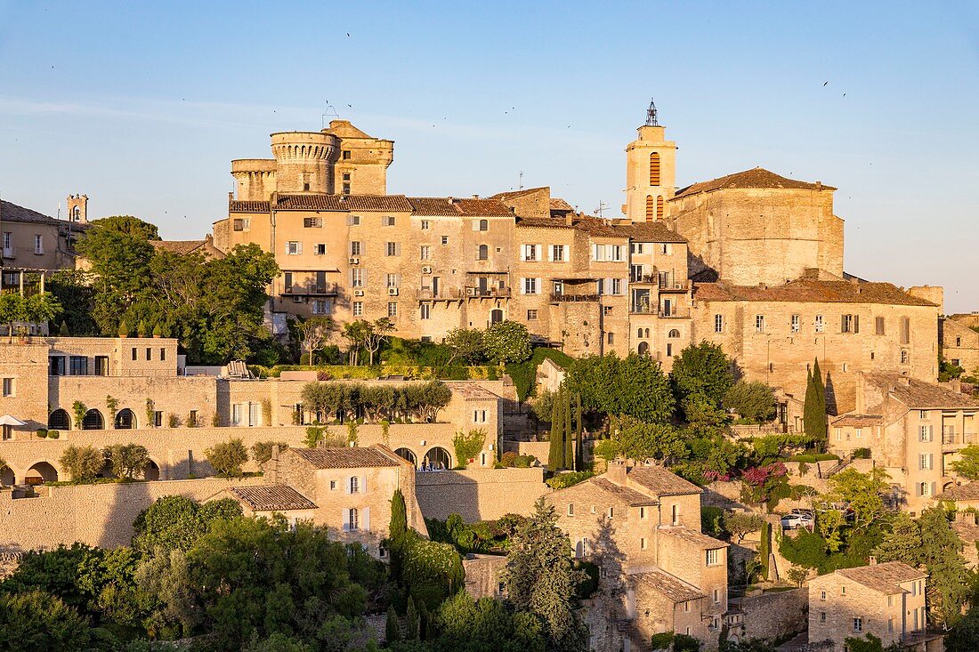 France, Vaucluse, regional natural reserve of Lubéron, Gordes, certified the Most beautiful Villages of France, the castle of the Renaissance and the romanic church Saint Firmin