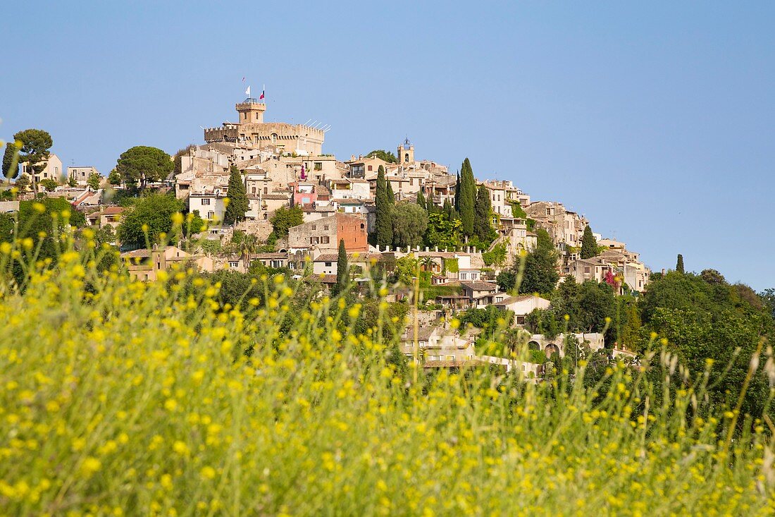 France, Alpes Maritimes, Cagnes sur Mer, Haut de Cagnes neighborhood, the old medieval city and the 14th century Chateau Grimaldi