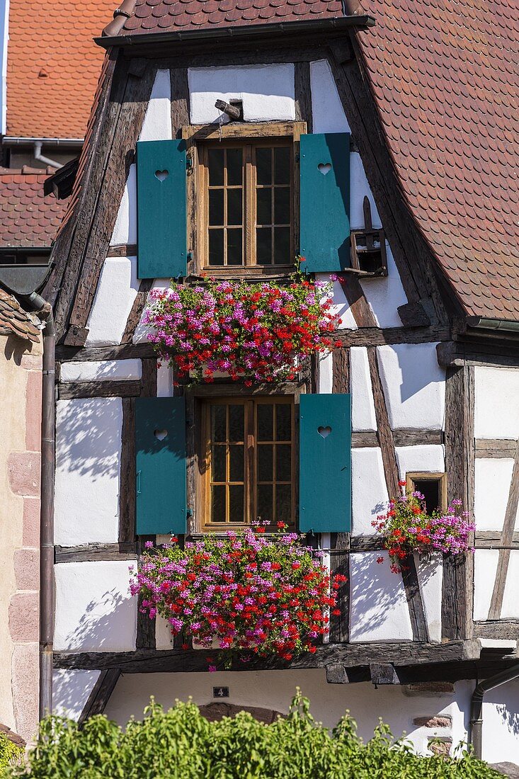 Frankreich, Haut Rhin, Route des Vins d'Alsace, Kaysersberg, Fachwerkhäuser