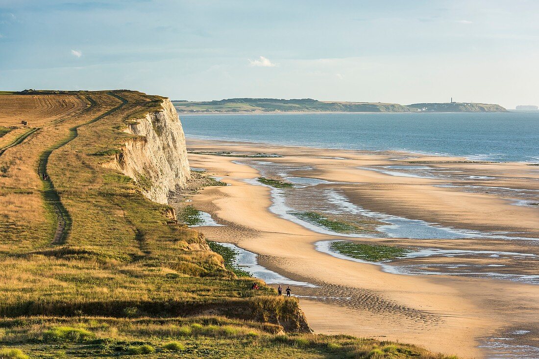 Frankreich, Pas-de-Calais, Opale Coast, Escalles, Cap Blanc Nez sind Teil des Grand Site des Deux Caps und des regionalen Naturparks Opale Cape and Marshes